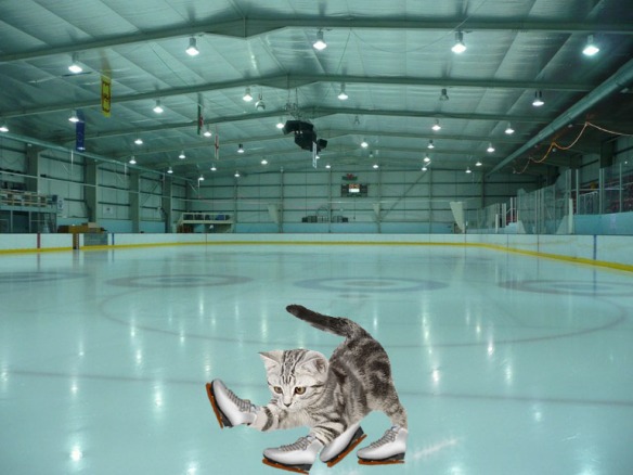 kitten skater